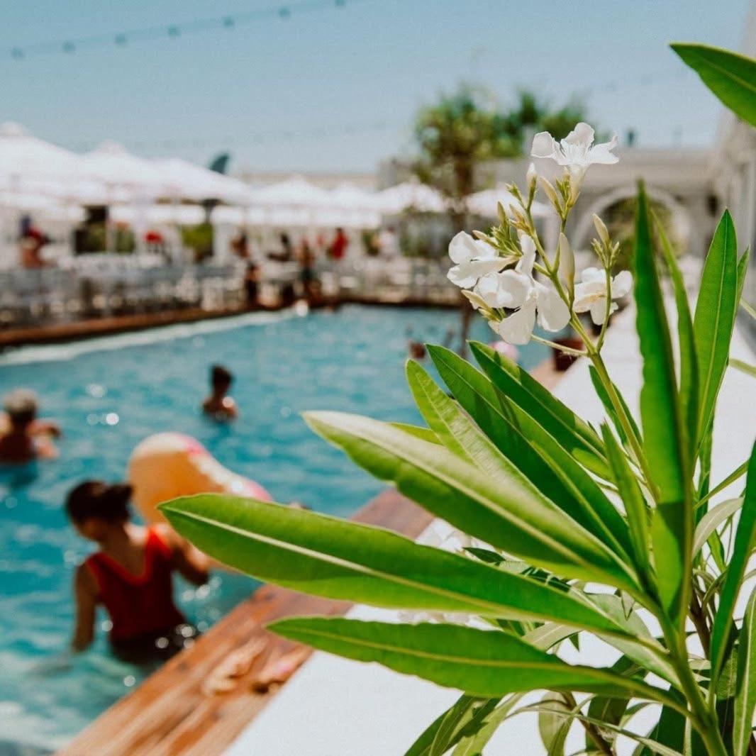 Apartament Beachside Mamaia